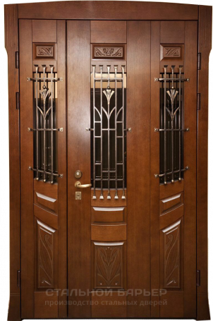 Парадная дверь №206
